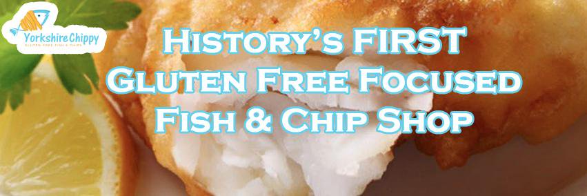 YshireChippy's profile banner image