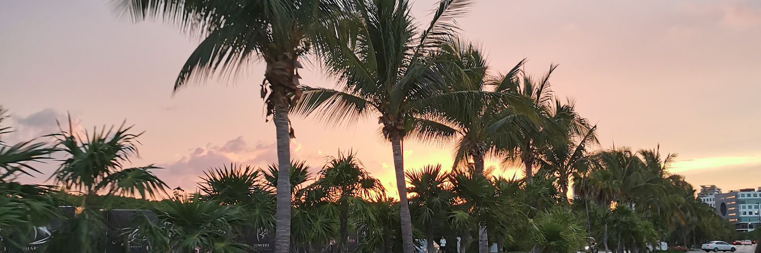 danyale_diaz's profile banner image