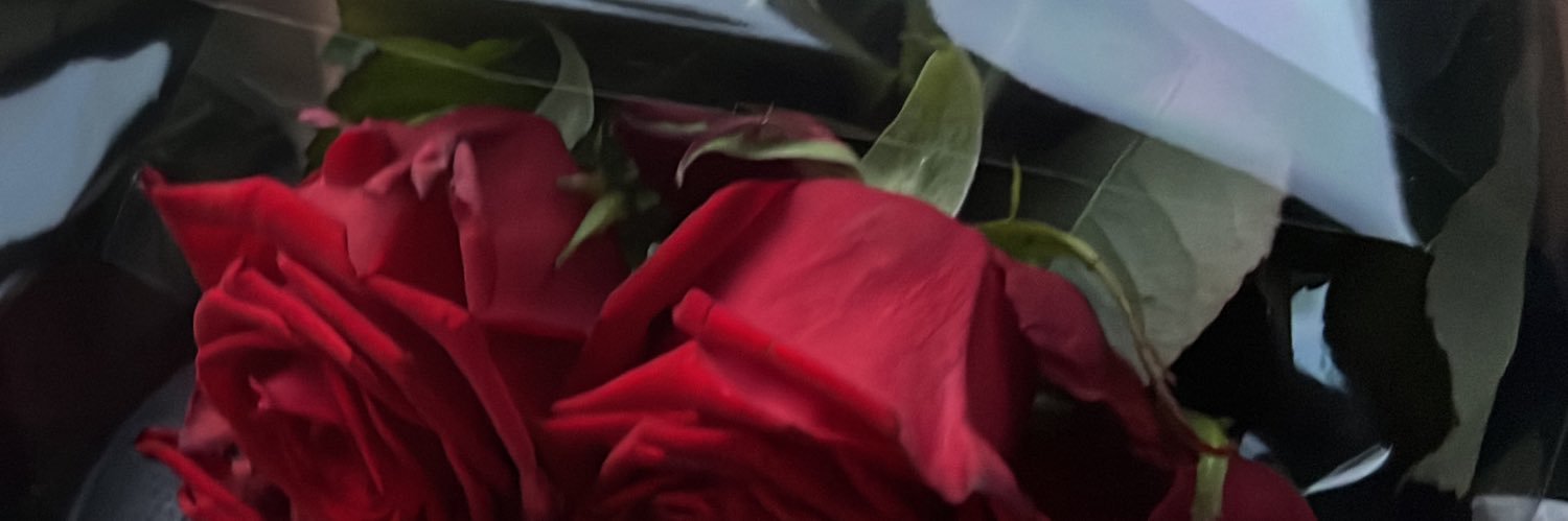 auvaliene's profile banner image