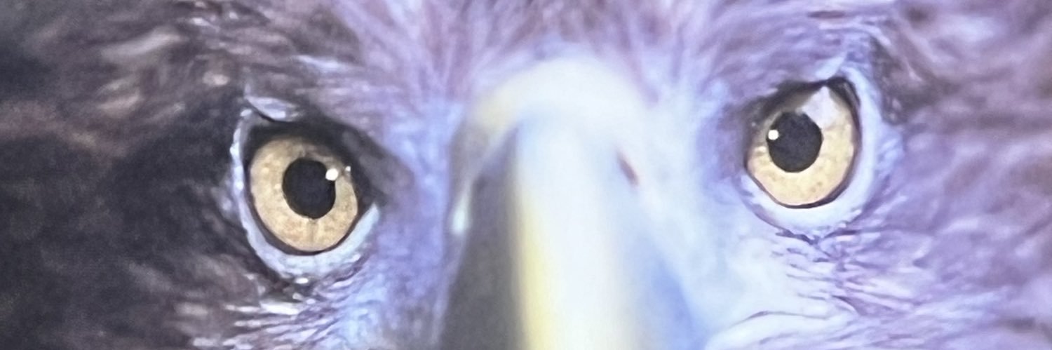 TeamTeamtherapy's profile banner image
