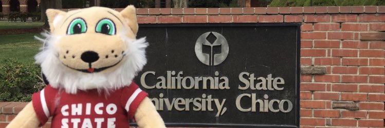 WildcatStore's profile banner image