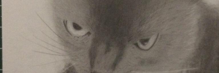 N1973Hiro's profile banner image