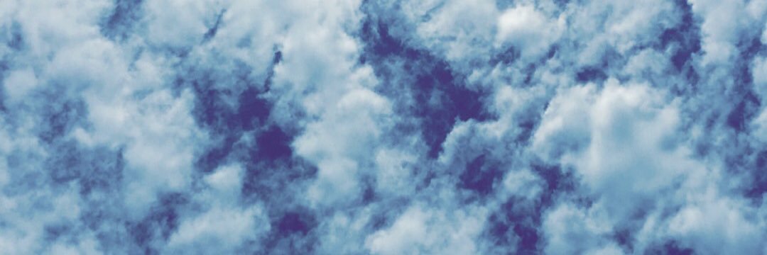 tayfinnell's profile banner image