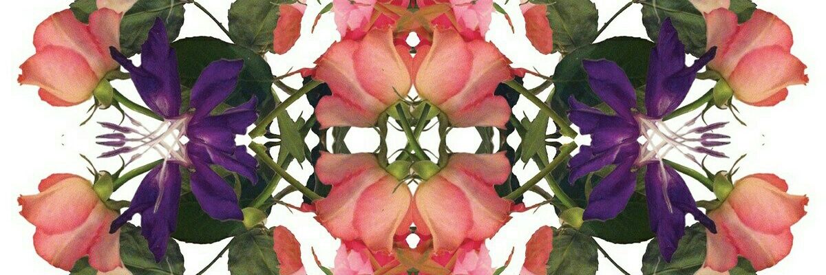 wanderila's profile banner image