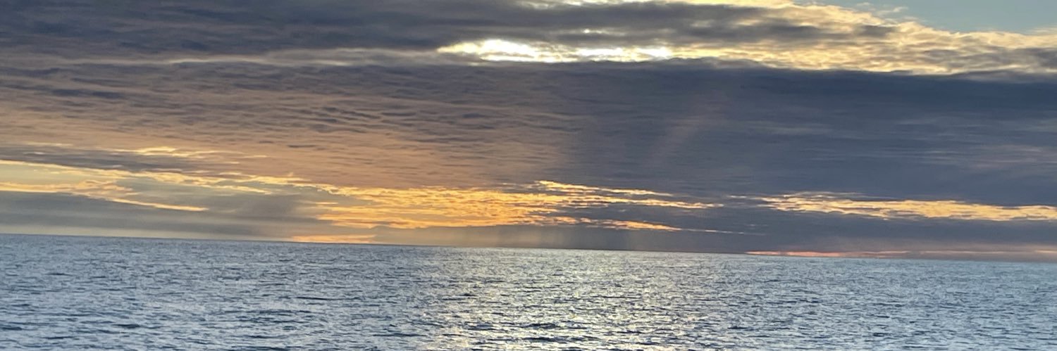 rspiva's profile banner image