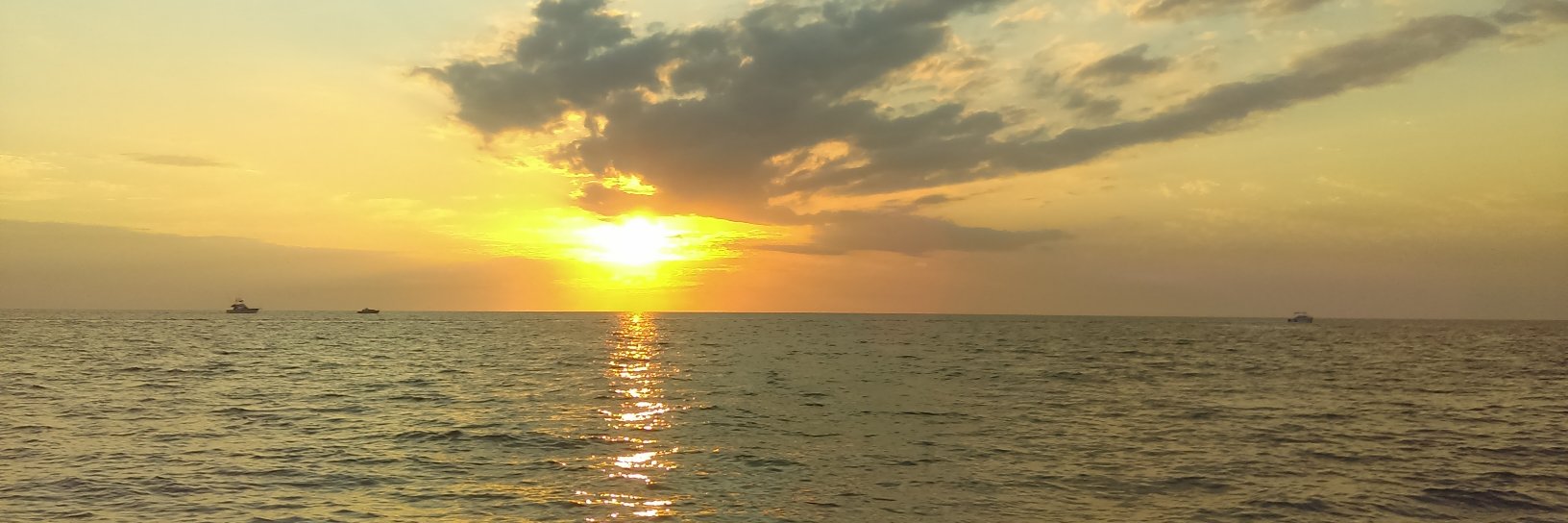 locksmithlion1's profile banner image