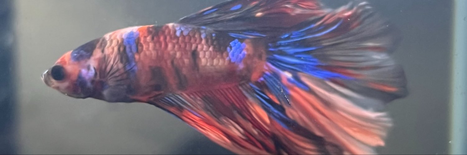 vincentvanj0's profile banner image