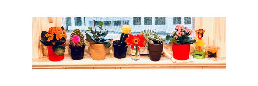 💙🇮🇱💙🎗️📟💙 banner