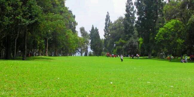 Priyatno Nugroho banner
