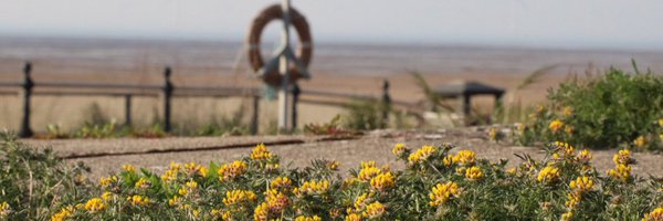 joshual951 Profile Banner