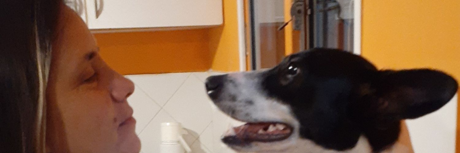 ingridpampin's profile banner image