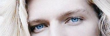 MariusDeVampire's profile banner image