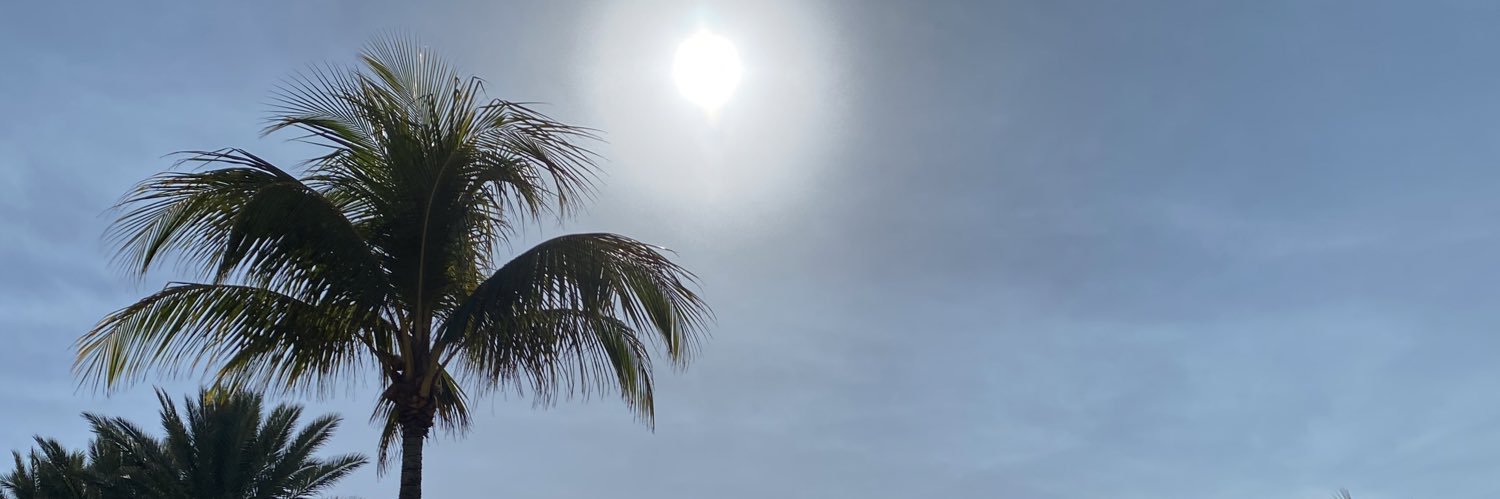 Selinafig_'s profile banner image