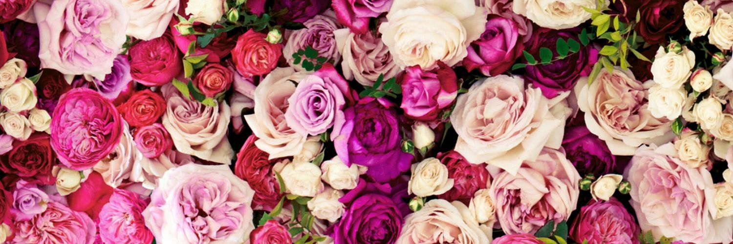 __ryanna's profile banner image