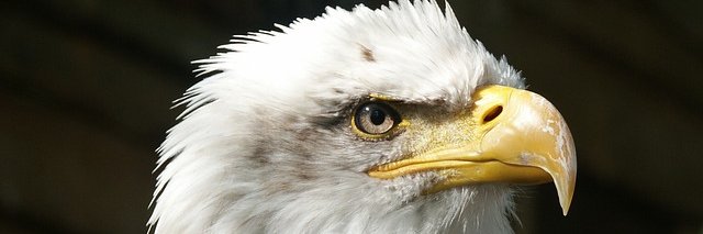 CwparC's profile banner image