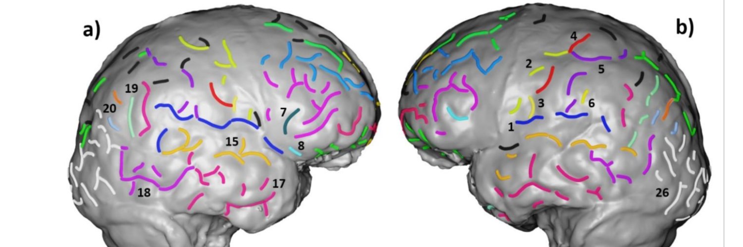 Antoine Balzeau banner