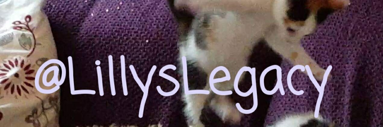 LillysLegacy's profile banner image