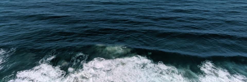 Ally Haire | deAI banner