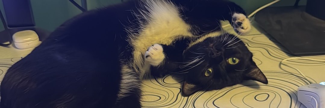 About 200 Ducks banner