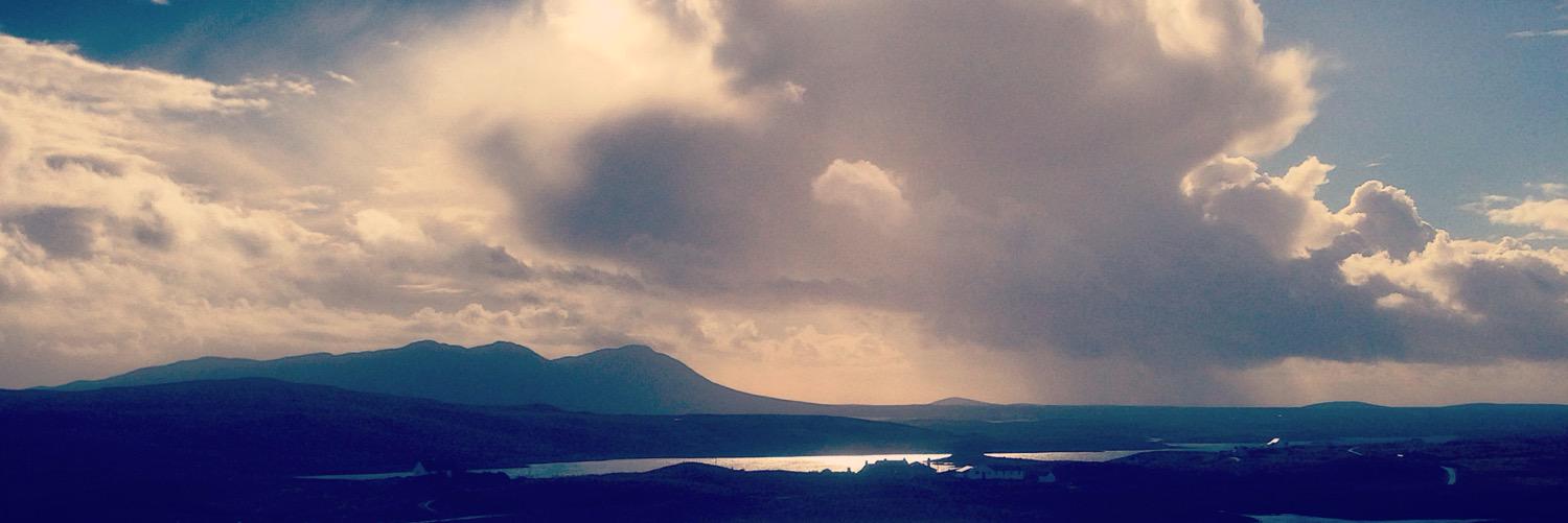 Ellen MacDonald banner