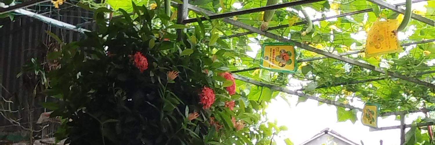 DomenicEbert's profile banner image
