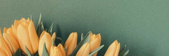 aleromte14's profile banner image