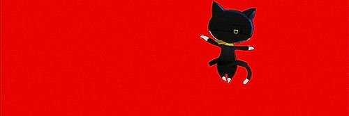 satch banner
