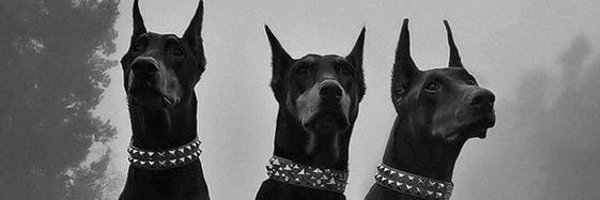 WillEOJ Profile Banner