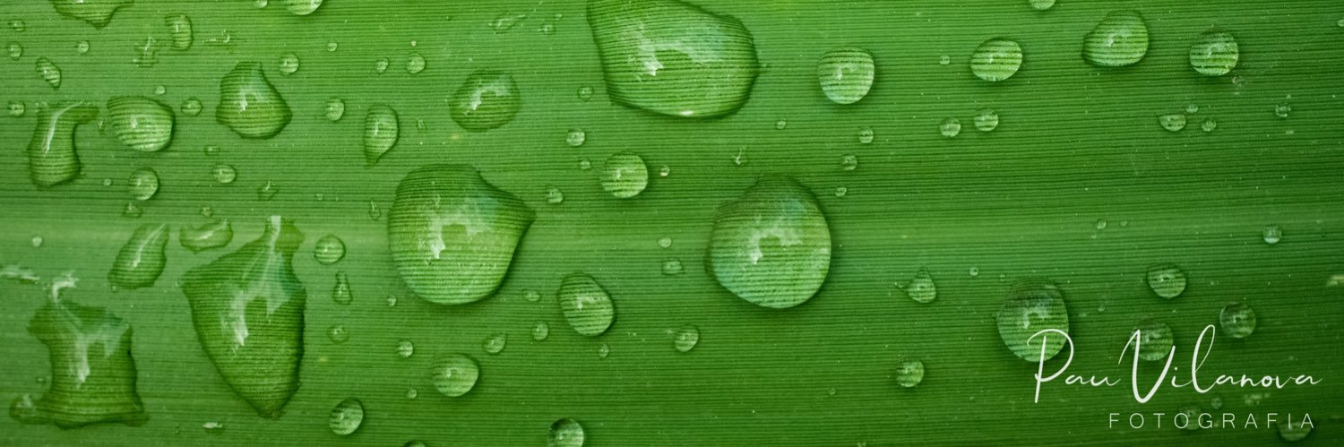 HelenaambH's profile banner image