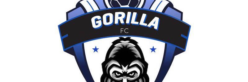 Shadadi Musemakweri banner