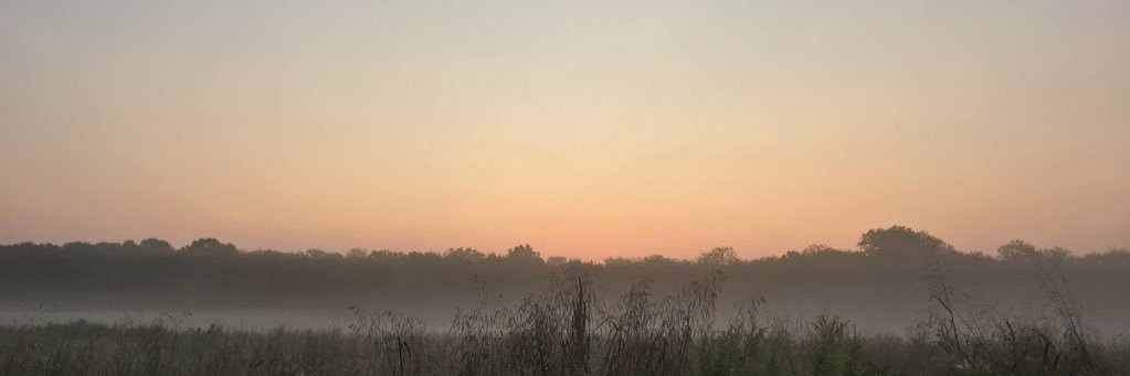 hmeany8's profile banner image