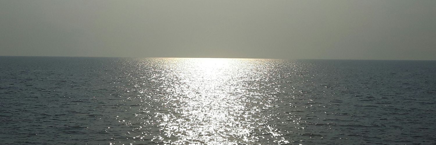 Anja B. banner
