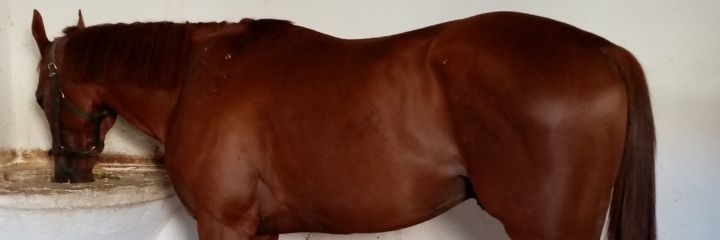 uuranl8's profile banner image