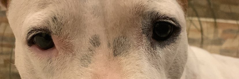 Paulasae_'s profile banner image