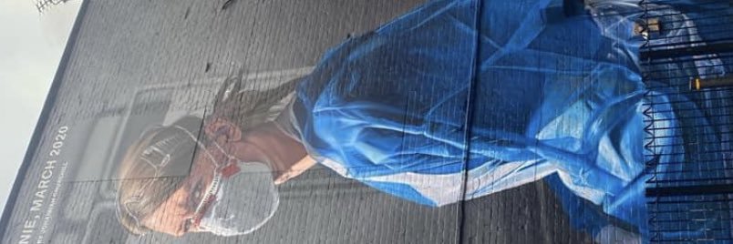 Libby Horridge banner