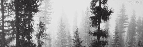 TheoR__rpg's profile banner image