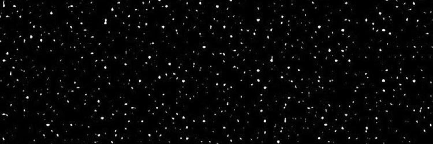 mariagarpee's profile banner image