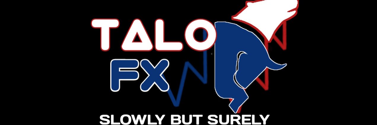 talofx_'s profile banner image