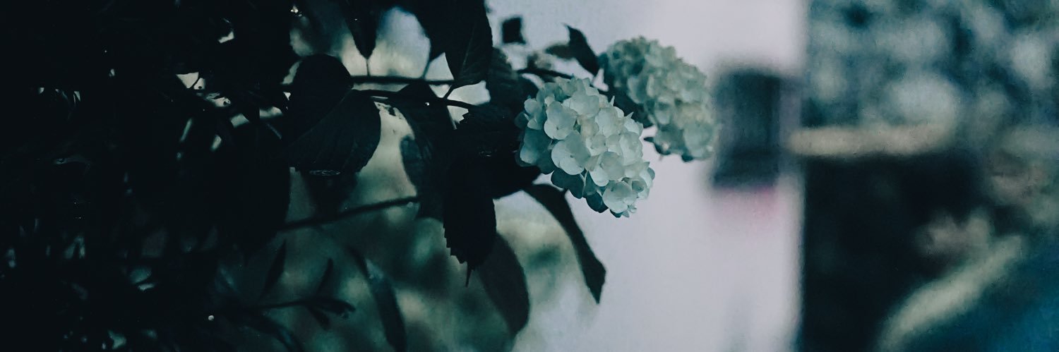 Shiki_39s's profile banner image