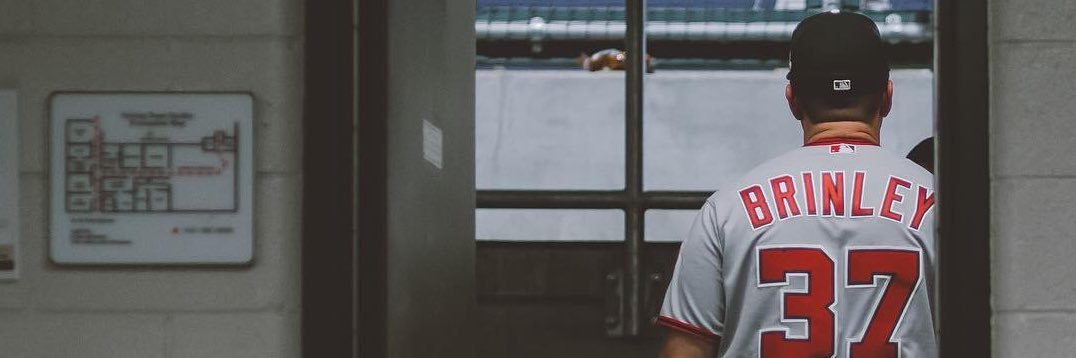 big_brin's profile banner image