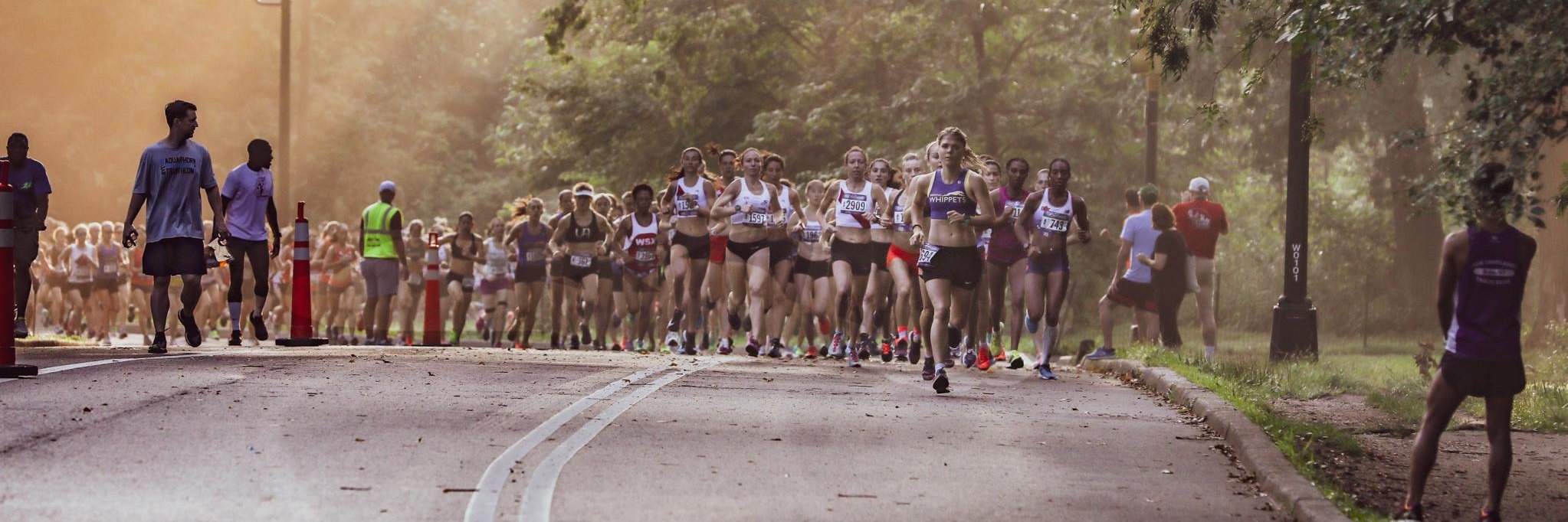 Esther Atkins banner