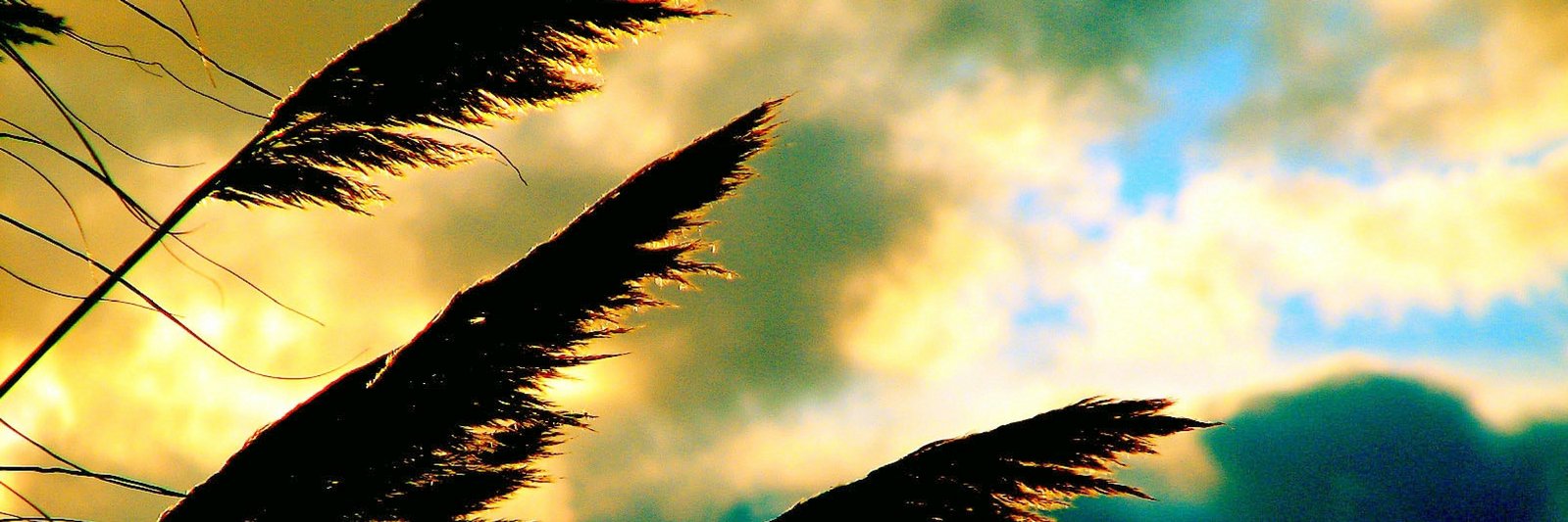 Nichklus's profile banner image