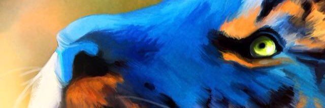 HamedNdr's profile banner image