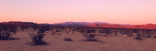 ellie☁️ | roy goode's wife banner