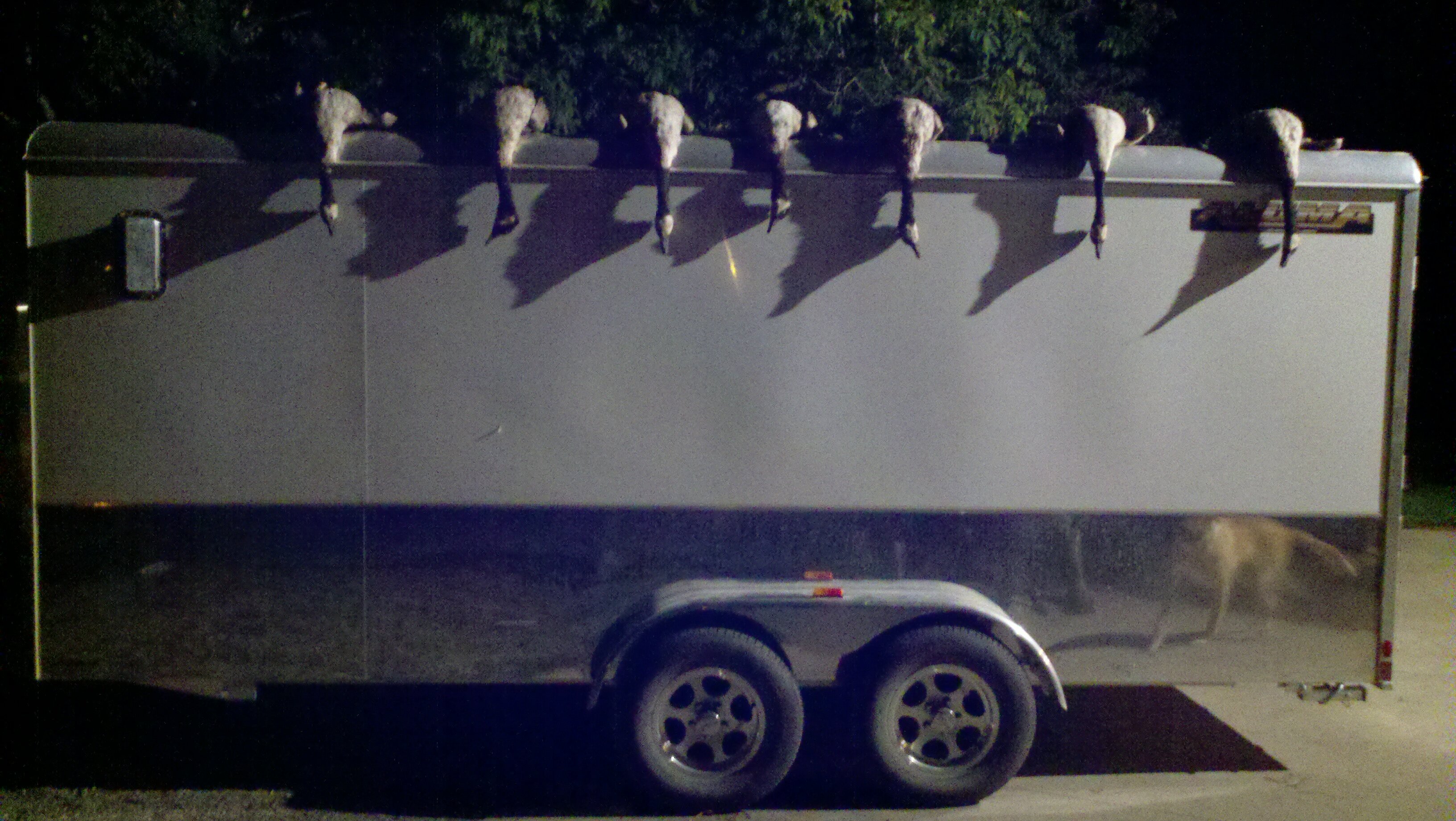 voit21's profile banner image
