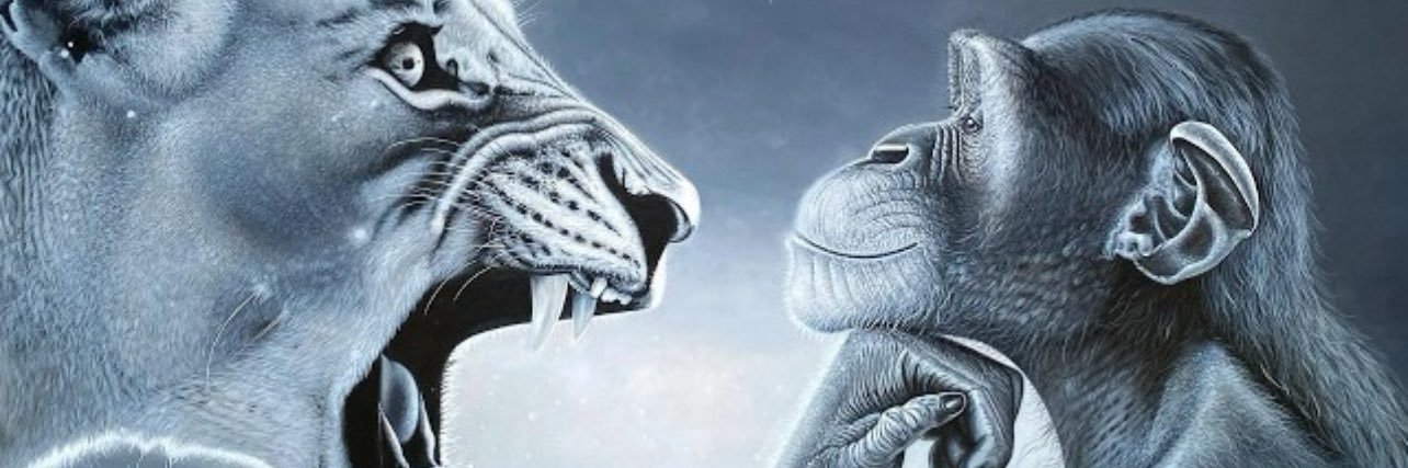 zamontsh's profile banner image
