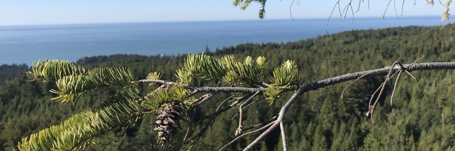 justingroach's profile banner image