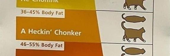 Fuquan Tiegermann banner