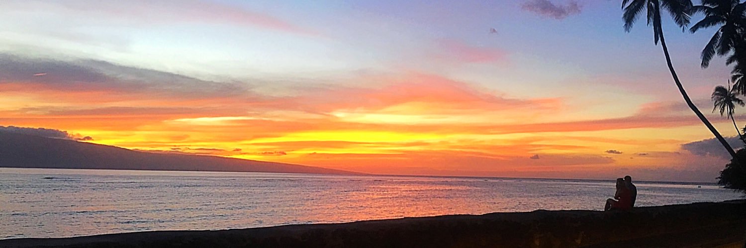 FZMtweets's profile banner image
