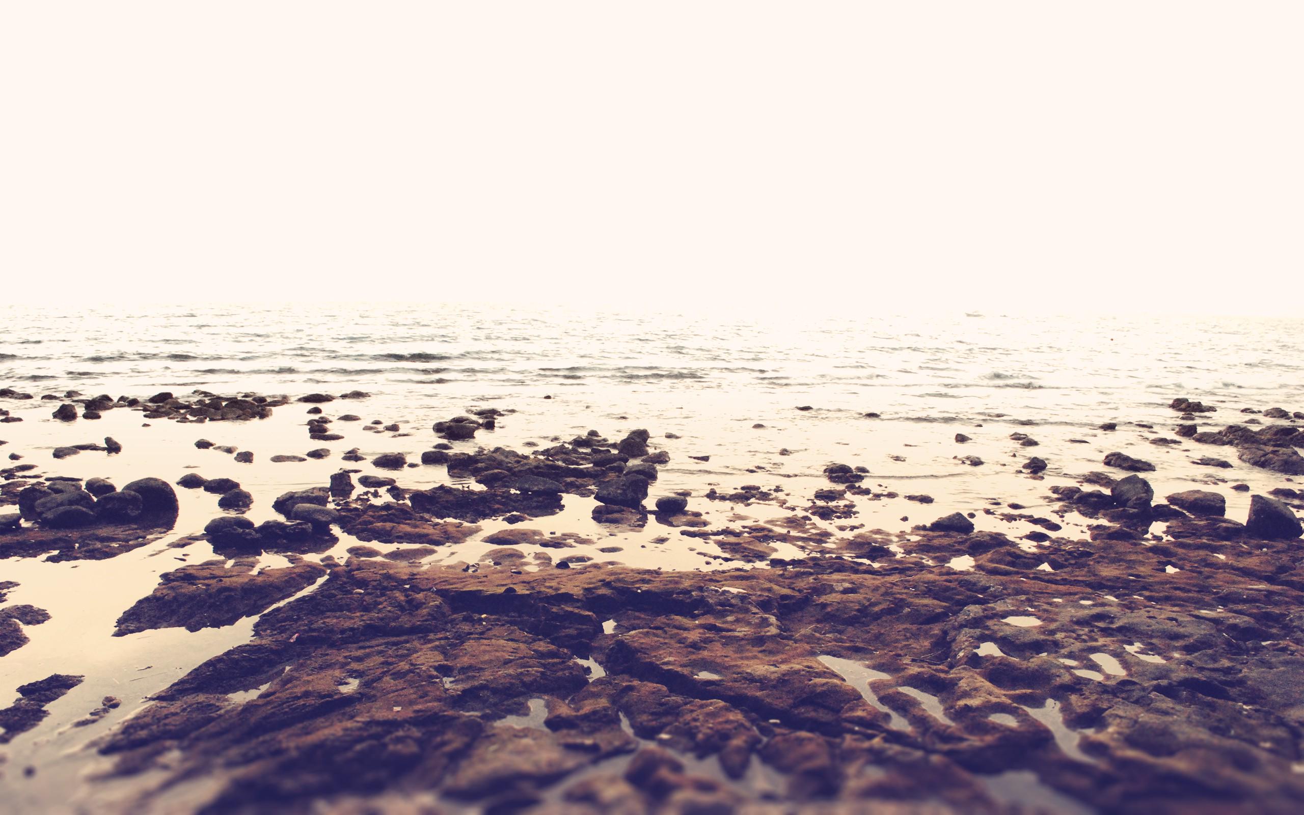 LolaSholl's profile banner image